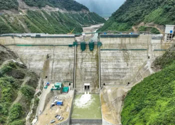 El Proyecto Hidroeléctrico Ivirizu es el de mayor impacto en Bolivia. (Foto: Economy)
