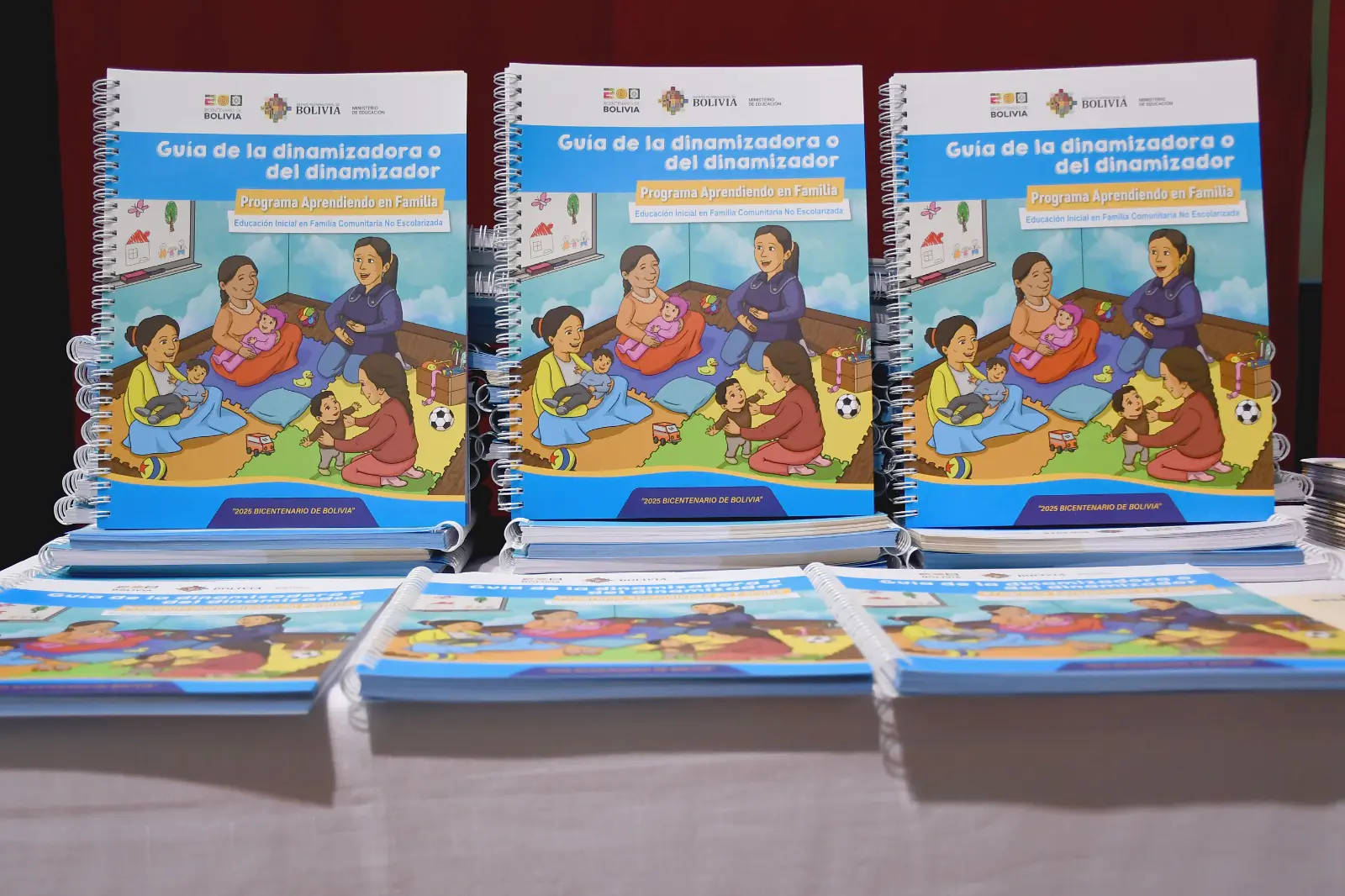 El ministro de Eduación, Omar Veliz, realizó la entrega oficial de las guías educativas del programa “Aprendiendo en Familia”. FOTO: Ministerio de Educación