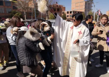 Decenas de perros fueron bendecidos por el párroco de la iglesia Cuerpo de Cristo en Villa Adela. FOTO: GAMEA
