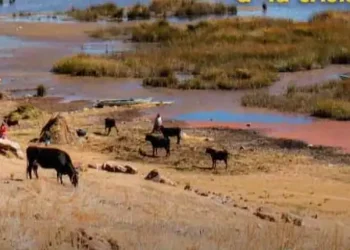Crisis del Titicaca: avanza desplazamiento ambiental en la cuenca Katari. FOTO: Fundación Tierra