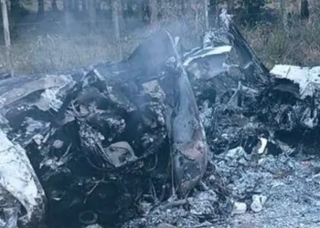 Entre los restos de la avioneta habían dos cuerpos/ Captura de video