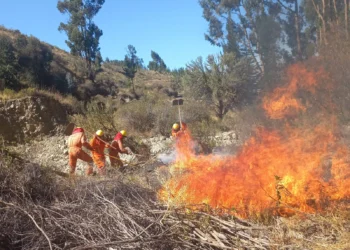 Bomberos intentan sofocar el fuego en un punto de incendio. FOTO: Defensa Civil.