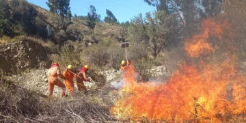 Bomberos intentan sofocar el fuego en un punto de incendio. FOTO: Defensa Civil.