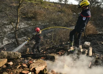 Una ola de calor complica el trabajo de los bomberos/AFP