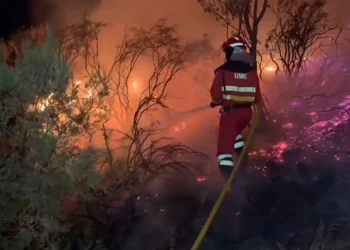 Los bomberos españoles combaten el fuego/AFP