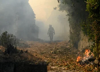 El fuego avanza en Portugal/AFP