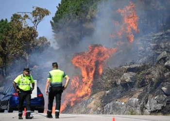 Aún hay 15 incendios de gran magnitud activos/AFP