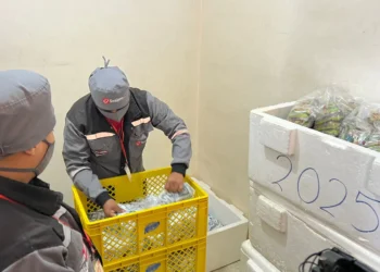 Se entrega el desayuno escolar a los estudiantes. Foto: GAMEA.