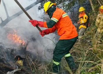 Los bomberos forestales están en alerta/Min. de Defensa