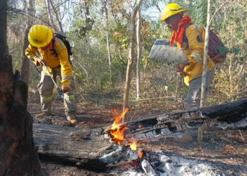 Se logró sofocar el incendio en Palmarito. Foto: Armada Boliviana.