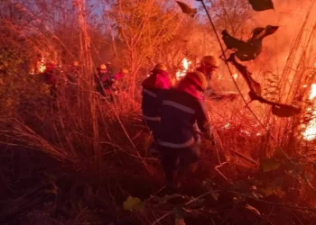 Equipos de bomberos son desplegados a los sitios afectados. Foto: Ministerio de Defensa.