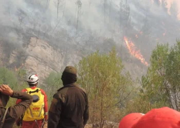 El incendio avanza en las faldas de la serranía de sama. Foto: APG.