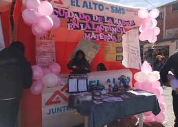 Se brindará información sobre la lactancia materna en la feria. Foto: GAMEA.