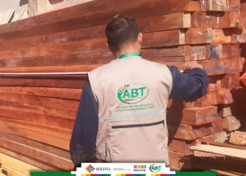 La ABT realiza controles constantes sobre la explotación de madera. Foto: ABT.