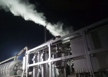 La planta fue consolidada en Paraguay. Foto: Economy.