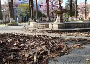 Así quedó una de las plazas de Tarija debido a los vientos. Foto: Facebook PLUS TLT TARIJA.