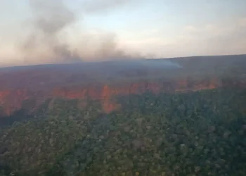 incendio_parque.jpg