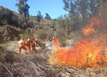 incendios_abt.jpg