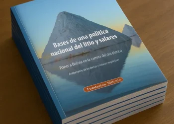 El libro para transformar el negocio del litio. Foto: Milenio.