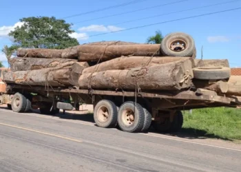 Peruanos ingresan a tierras bolivianas a bordo de “triples” para traficar la madera. FOTO: ABT