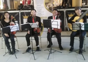 ensamble_vida.jpg