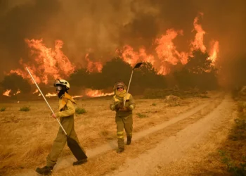 espana_incendios.jpg