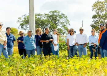 La finalidad es crear oportunidades de mejora para el rendimiento agrícola. Foto: Economy.