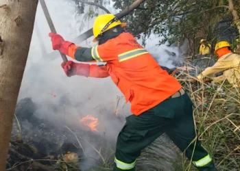 incendios
