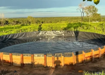 Una de las geomembranas producidas por Geoland. Foto: Cainco.