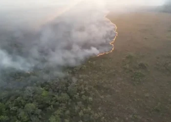 incendios.jpg