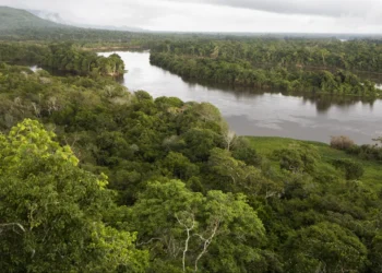 El Trópico es una de las regiones en Bolivia que se busca potenciar. Foto: CAN.