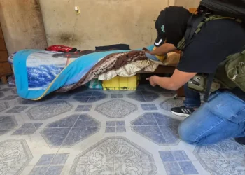 La droga estaba en dos bolsas bajo una cama/FELCN