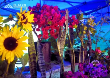 Los floricultores ofertan una gran variedad de flores/GAMEA