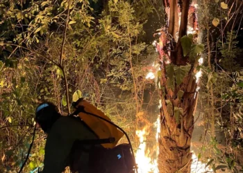 Uno de los incendios de magnitud se registra en el municipio de Portachuelo. FOTO: RRSS