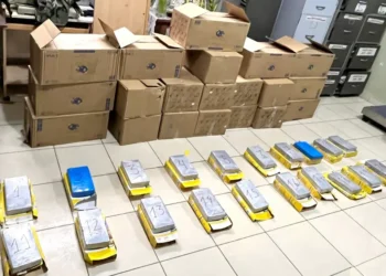 Los paquetes de droga hallados en cajas de avena/FELCN