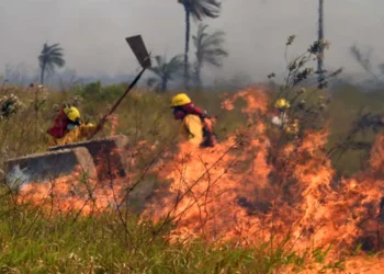 Dos áreas protegidas son afectadas por fuegos activos. FOTO: RRSS
