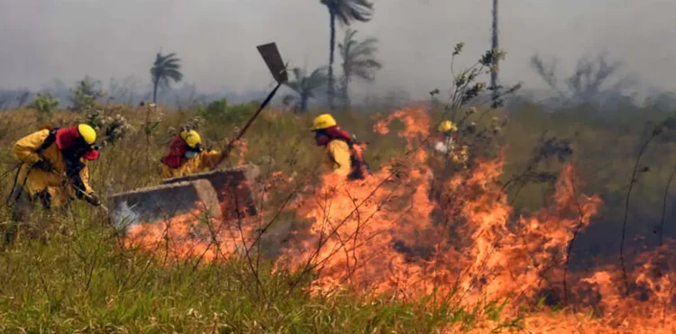 Dos áreas protegidas son afectadas por fuegos activos. FOTO: RRSS
