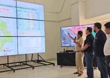 El reporte brindado por el viceministro Calvimontes, al presidente Luis Arce y ministros. Foto: Captura Centro Nacional de Monitoreo Contra Incendios.