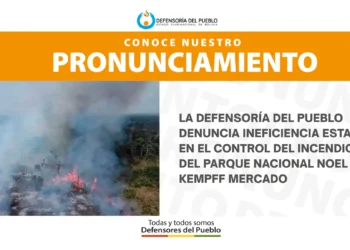 La Defensoría del Pueblo emitió un pronunciamiento al respecto del incendio. Foto: Defensoría del Pueblo.