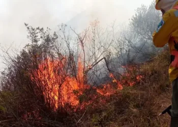 El incendio fue sofocado gracias al esfuerzo de los equipos de emergencia. Foto: Facebook Lucho Arce.