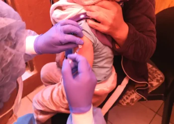 Se pidió no descuidar la vacunación de los niños. Foto: GAMEA.
