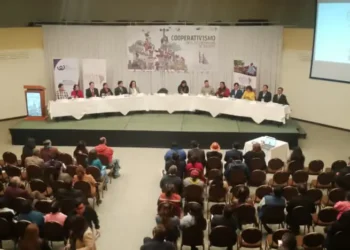 El lanzamiento del libro en La Paz. Foto: IPDRS.
