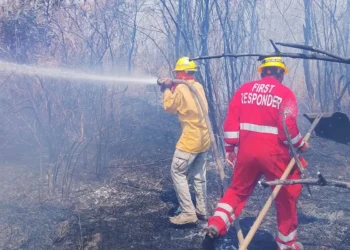 Incendio_santa_cruz.jpg