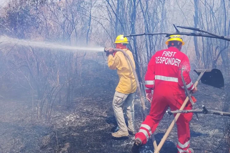 Incendio_santa_cruz.jpg