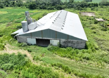 Un galpón agrícola adminsitrado por la estatal. B-Agro.