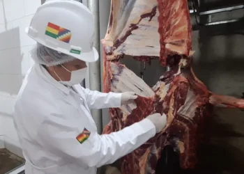 carne