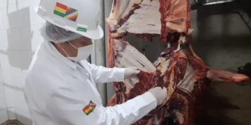 carne
