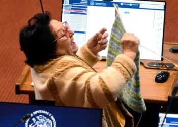 La diputada chilena María Luisa Cordero
teje en una sesión legislativa en Chile.
Foto: Biobiochile.