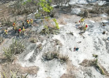 incendios_santa.jpg