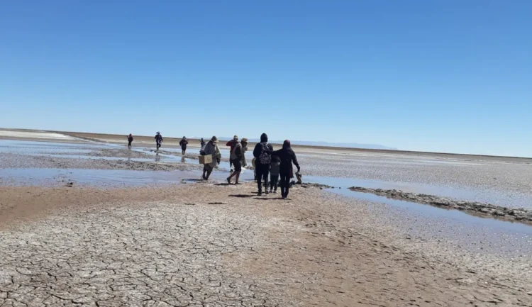 Un desequilibrio hídrico amenaza al Lago Poopó. FOTO: ABI